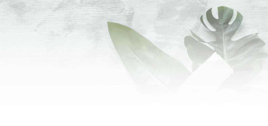 Elite Hair Fixing Studio